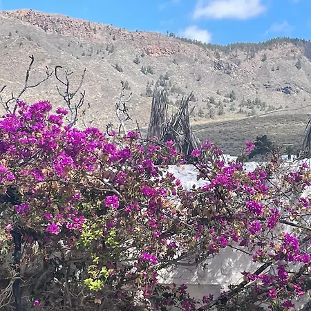 Tierrazul Art Boutique Rose Sweet *