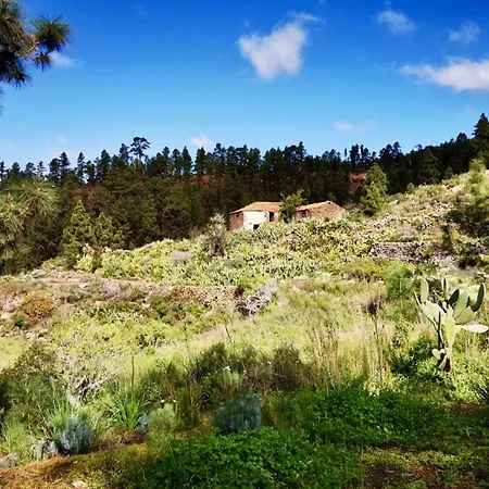 Апартаменты Tierrazul Art Boutique Rose Sweet