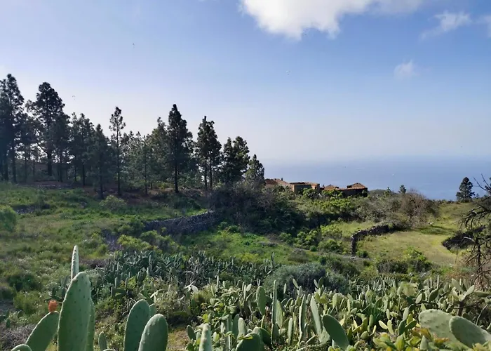 Tierrazul Art Boutique Rose Sweet Адехе