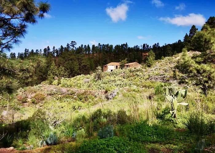 Апартаменты Tierrazul Art Boutique Rose Sweet